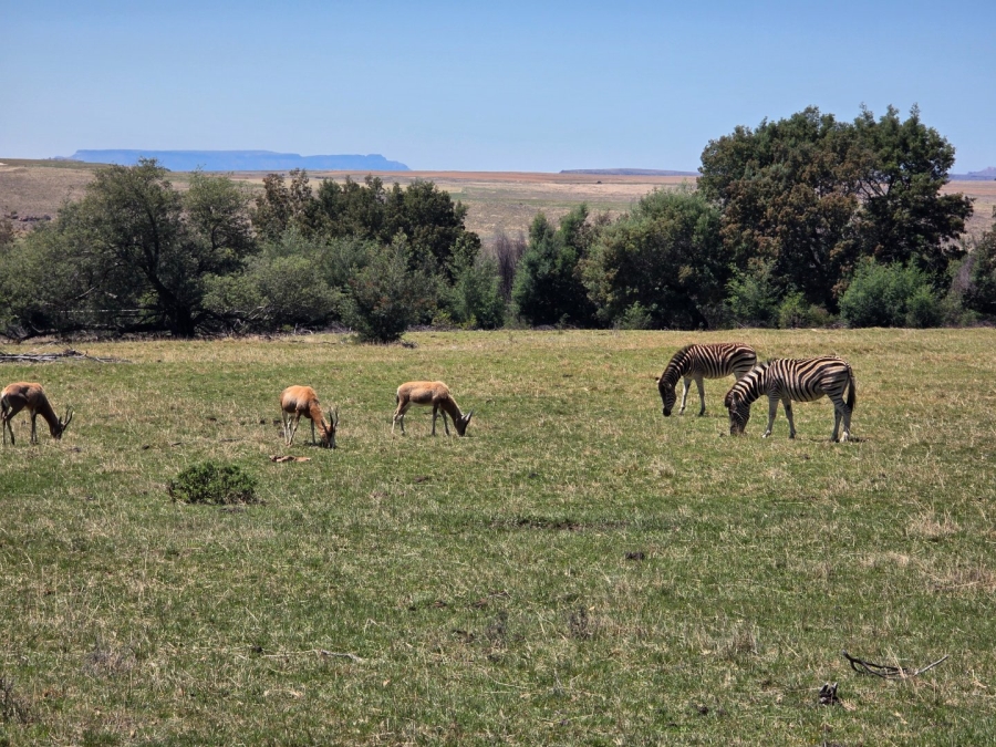 Commercial Property for Sale in Bethlehem Free State